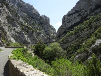 Georges de la Galamus